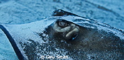 My first trip with my Canon 5dmkII 17-40mm. Up close and ... by Giny Smith 